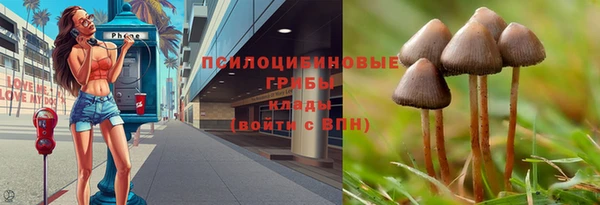 дживик Абаза