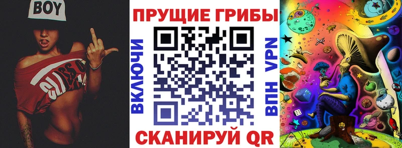 Галлюциногенные грибы прущие грибы  Красноперекопск 